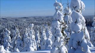 Beautiful Winter Wellness Relax Music