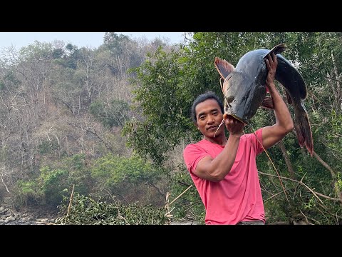 TRADITIONAL FISH HUNTING OF THE KUKI PEOPLE.     | EPISODE-01.      (4k video)