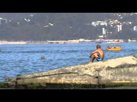 Дельфины прямо на пляже в Сочи