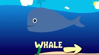Ocean animals | Sea life | Educational game | Video for kids
