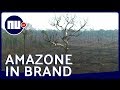 Drone brengt brandschade Amazonegebied in kaart | NU.nl