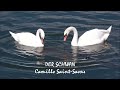 Der Schwan aus "Der Karneval der Tiere" von Camille Saint-Saens
