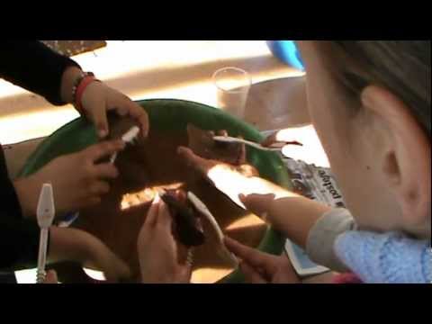 SCOALA GIMNAZIALA OTELENI LOCATIA HANDRESTI.MPG