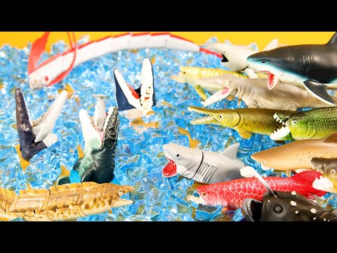Scary Shark & dinosaur Monster Fish Toys
