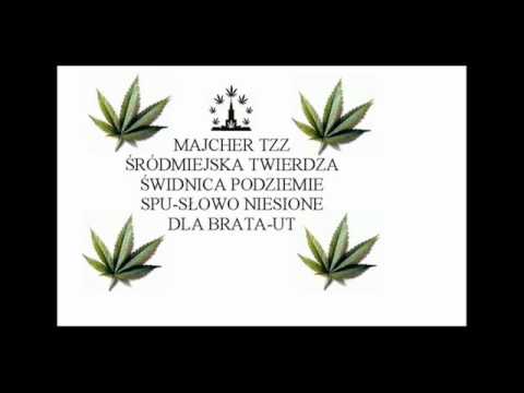 Majcher tzz -Zawsze w gotowości.wmv