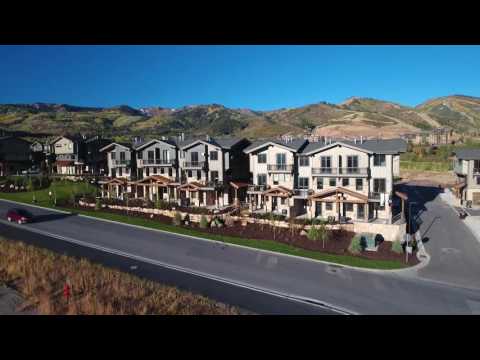 BlackStone 60 second video