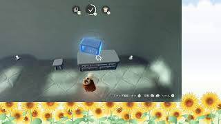 【Sky】間が空いたけど癒されに行く