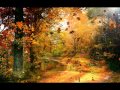 Terranova - Concepts