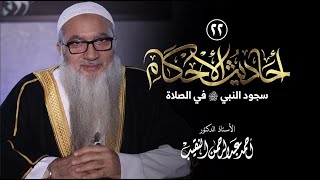 صورة 22 | أحاديث الأحكام |  سجود النبي ﷺ في الصلاة | فضيلة الشيخ أ د أحمد النقيب