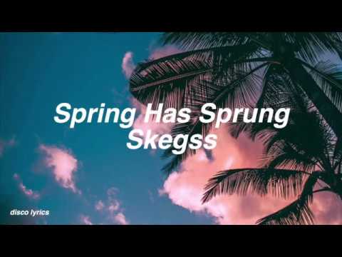 Spring Has Sprung || Skegss Lyrics