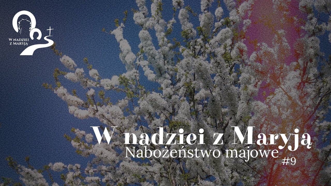 2355. "Uciśnionych nadziejo"