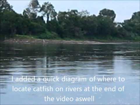 Tips on Where to Locate/Find Catfish in Rivers