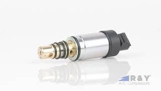 Watch our 360° video — see this Electronic Control Valve from every angle