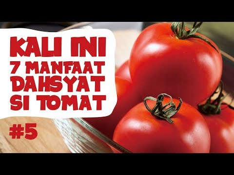 Dokter 24 - Manfaat Dahsyat Tomat Bagi Kesehatan Tubuh Anda