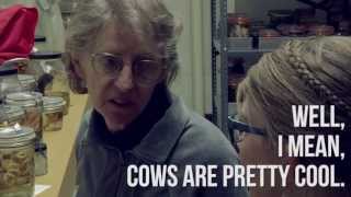 Chicago Adventure, Part Seven: Octopus Sex