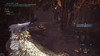 MHW 適当クエスト