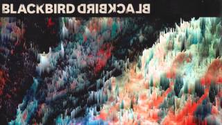 Blackbird Blackbird - Hold On