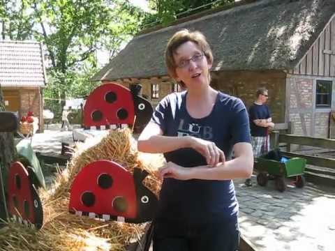 Erst kommt der Sonnenkäferpapa - mit Kindergebärden