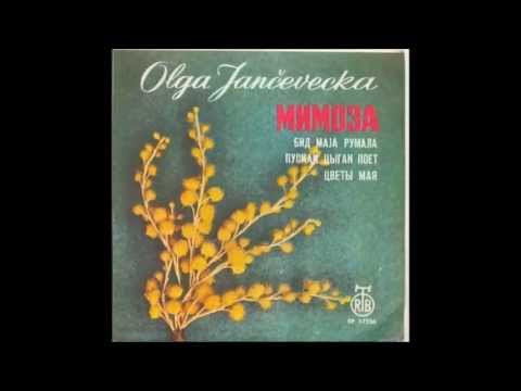 Olga Jančevecka / Ольга Янчевецкая - Сквозь дождь и туманы