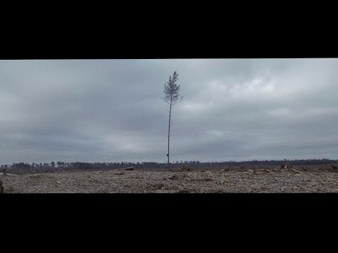 drewnofromlas - pada pada