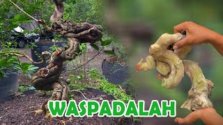 Download lagu 'WASPADA' FATAL KALAU SALAH MELIHARA SANCANG mp3 Download lagu 'WASPADA' FATAL KALAU SALAH MELIHARA SANCANG mp3