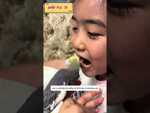 Cô bé nhờ chú vẹt nhổ răng sâu và cái kết