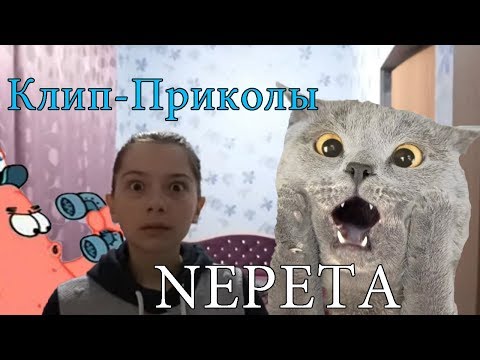 КЛИП-ПРИКОЛЫ NEPETA СТРАШИЛКИ