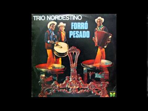 Forro - Trio Nordestino