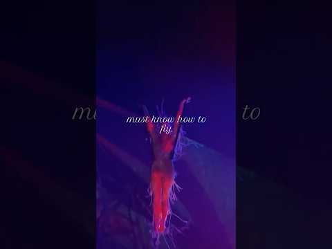 main requirement ✍️ #Mystere | Cirque du Soleil