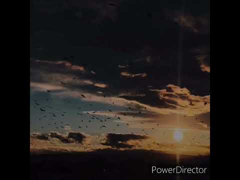 𝐂𝐮𝐯𝐚̂𝐧𝐭𝐮𝐥 𝐓𝐚̆𝐮 𝐞-𝐨 𝐜𝐚𝐧𝐝𝐞𝐥𝐚̆ 𝐚𝐩𝐫𝐢𝐧𝐬𝐚̆