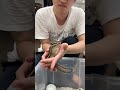シマリス ♀（2026年春生まれの新生児）馴れてます♪のYouTubeサムネイル画像
