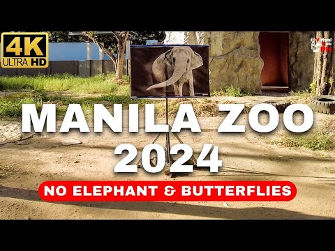 [4K] Same Zoo Different Vibe | Manila Zoo Walk Tour 2024 (No Elephant & Butterflies)