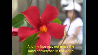 My Father&#39;s Eyes by Amy Grant