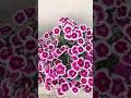 Nature is Therapy | Nature Status | Sweet William in our garden | Happy Dianthus Barbatus