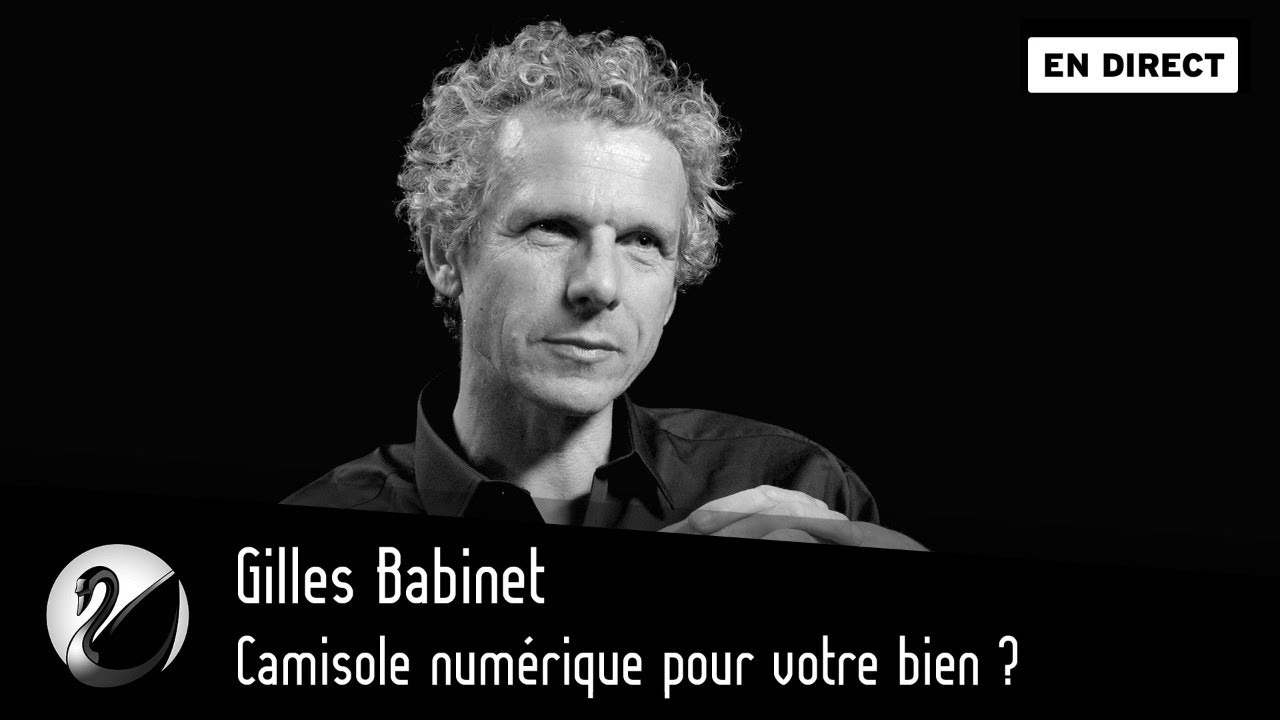 Camisole numérique pour votre bien ? Gilles Babinet