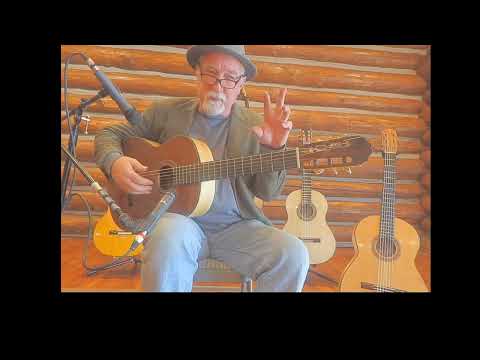 5 Hippner Guitars Comparison