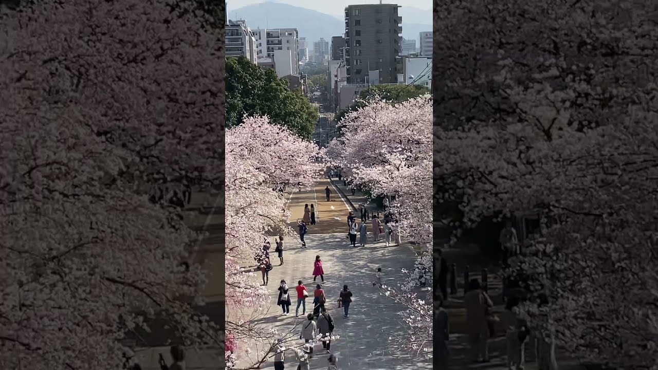 YouTube Short thumbnail