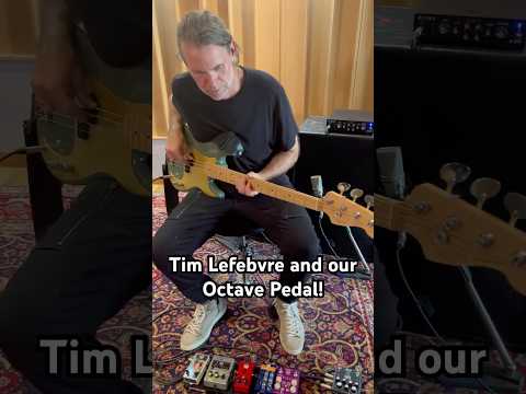 CELEBRITY PEDALS Taylor Shift Octave + Low Pass Filter (Handmade and Analog) image 7