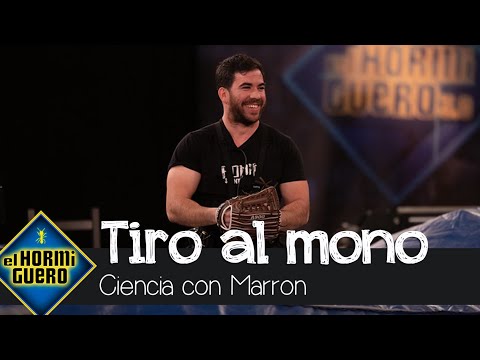 Tiro al mono: un especialista cae desde 9 metros para recoger una pelota en el aire - El hormiguero