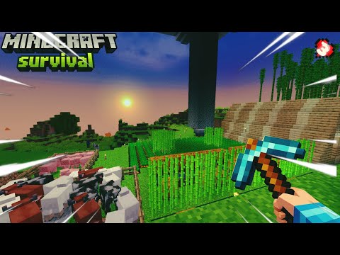Full Diamond Achieved| Minecraft Bedrock | E03