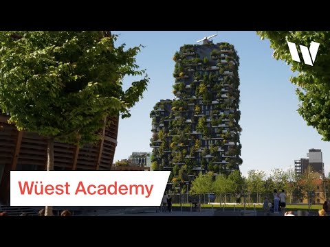 Wüest Academy Video-Training nachhaltige Immobilien