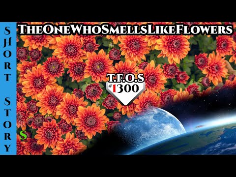 TheOneWhoSmellsLikeFlowers - Humans Are Space Orcs 1300