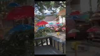 Dream on by:Nazareth