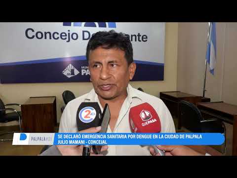 Se declaró la emergencia sanitaria por dengue en Palpalá