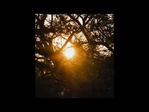 [FREE] nothing nowhere x dripppin so pretty type beat | "infinity"