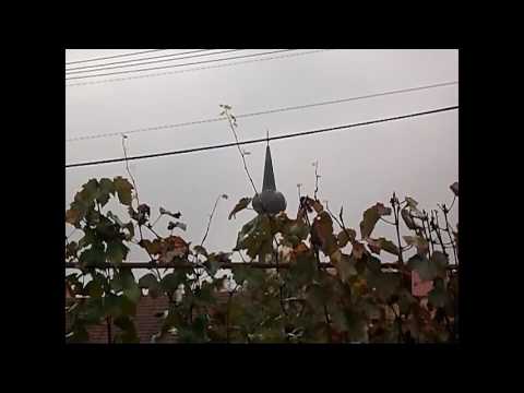 Dabas-Sári (H) Mária Mennybemenetele templom déli harangszó 2014. Október 24.