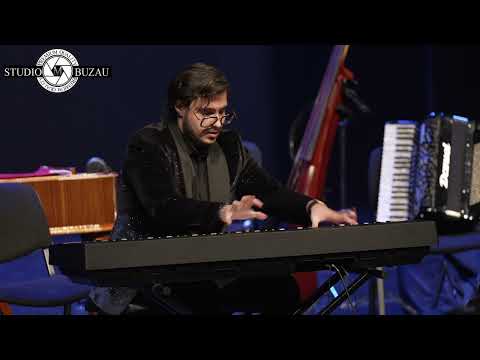 Festivalul Ionica Minune editia a 4a   Obedeanu Nicolas