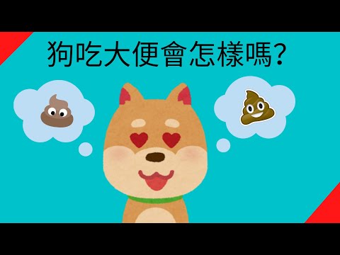 如何不讓狗來大便