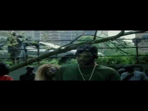 Ready fi di war- Grandsire