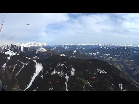 4/5 Zapfenpflücker in Werfenweng